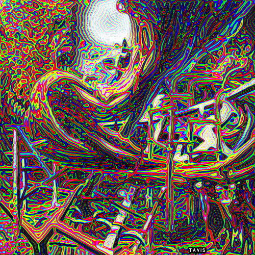 Bill Tavis GIF Artista Humor - Fun 