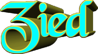 Zied Z MASCULINE - Maghreb Muslim First Names 