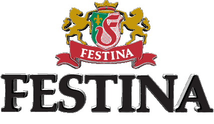 Festina Watches Fashion 