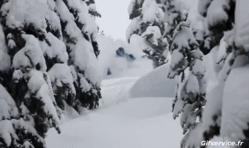 Free Ride Fun Win Ski Sport Humor -  Fun 