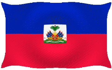 Ondulation Haïti Amériques Drapeaux 