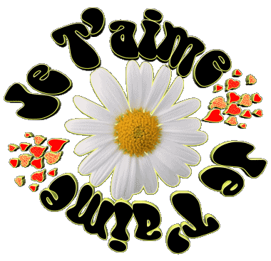 05 Je T'aime Francés Mensajes 