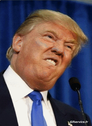Donald Trump-Donald Trump People Serie 01 People - Vip Morphing - Sembra Umorismo -  Fun 
