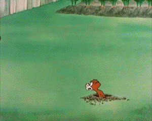 Garden Gopher Tex Avery Cartoons TV Filme Multimedia 