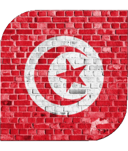 Quadrato Tunisia Africa Bandiere 