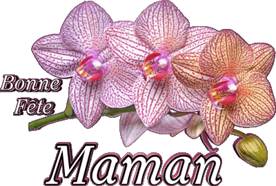 05 Bonne Fête Maman French Messages 