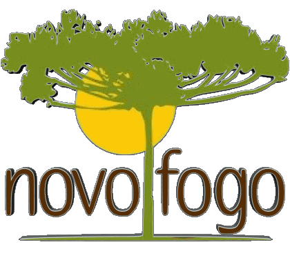 Novo Fogo Cachaca Bebidas 