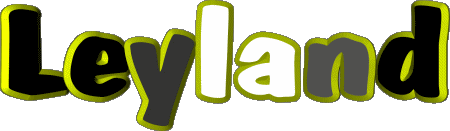 Leyland L MANN - UK - USA - IRL - AUS - NZ Vorname 