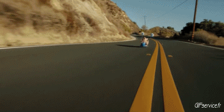 01 Cerdos - Jabalíes Animales Humor - Fun 