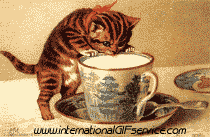 Serie 01 Chats Animaux Humour - Fun 