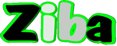 Ziba Z FEMININE - Maghreb Muslim First Names 