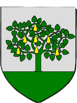 Blason-Blason FLEURY 11 Départements - Villes France Drapeaux 