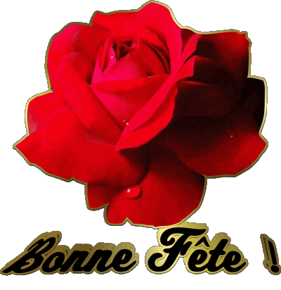 01 Bonne Fête Französisch Nachrichten 