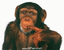 01 Monos Animales Humor - Fun 