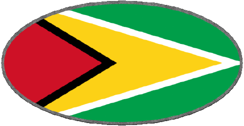 Oval Guyana America Flags 