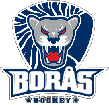 Boras HC Suecia Hockey - Clubs Deportes 