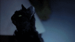Multimedia V International Scary Movie 02 Video GIF 