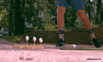 Humor -  Fun OBJECTS Slowmotion 