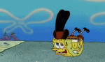 Multi Media Cartoons TV - Movies Sponge Bob Squarepants Video GIF 
