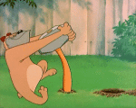 Multimedia Cartoons TV Filme Tex Avery Garden Gopher 