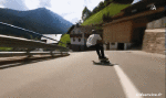 Humor -  Fun Sports Skateboard Road Down Hill Fun Win 
