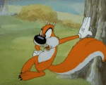 Multimedia Cartoons TV Filme Tex Avery Screwball Squirrel Video GIF 