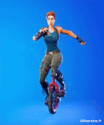 Multi Média Jeux Vidéo Fortnite Emotes 