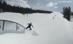 Humor -  Fun Sports Ski Free Style Fun Win 