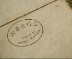 Multimedia Serie TV internazionali Weeds 