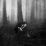 Humor - Fun GIF Artista Kevin Weir 