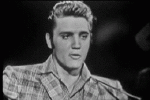 Multimedia Musik Rock USA Elvis Presley 