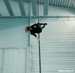 Humor -  Fun MENSCHEN Akrobatik Pole Dance Fun Win 