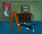 Multimedia Cartoons TV Filme Tex Avery The Counterfeit Cat 
