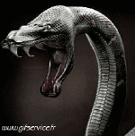 Humour - Fun Animaux Serpents Serie 01 