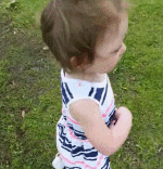 Humor - Fun Animales Pájaros Gallos - Gallinas 