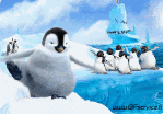 Humour - Fun Animaux Pingouins 01 