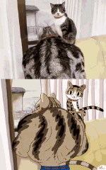 Umorismo -  Fun GIF Artista Kekeflipnote 