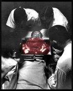 Humor -  Fun GIF Künstler Nicolas Monterrat 