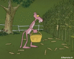 Multi Media Cartoons TV - Movies Pink Panther pink Panther 