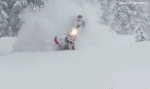 Humor -  Fun Transport Snow Motorcycle Fun - Win 