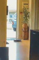 Humor -  Fun OBJEKTE Robots 