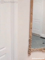 Humor - Fun GIF Artista Kevin Parry - Illusions 