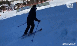 Humor -  Fun Sports Ski Fail Various 