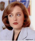 Gillian Anderson - Lois Griffin-Humor - Fun Morphing - Parece People - Vip People Serie 03 