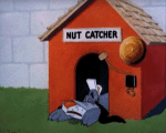 Multimedia Cartoons TV Filme Tex Avery Happy Go Nutty 