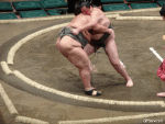 Humor -  Fun Sports Sumo 