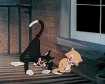 Multi Media Cartoons TV - Movies Tex Avery The Cat That Hated People 