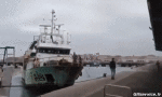 Umorismo -  Fun Trasporti Barche Incidente - Arenamento 2 
