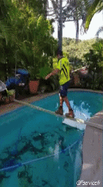 Humor -  Fun MENSCHEN Schwimmbad Scheitern 