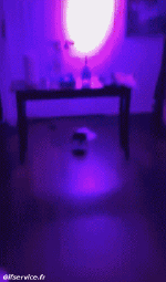 Umorismo -  Fun Notizie Corona Virus 